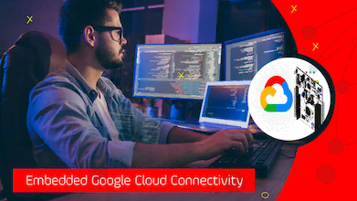 Google Cloud Connectivity